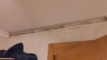 Peinture intérieure