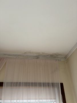 Pintor de Casas - Casa