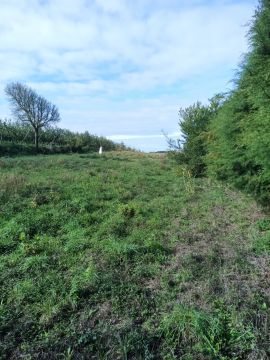 Land Surveying