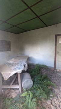 Empreiteiro - Casa