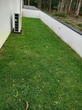 Serviço de Jardinagem - Casa
