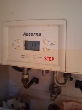 Boiler warten