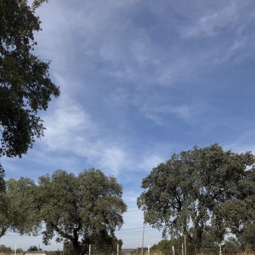 GOMOS & DETALHES - Alcácer do Sal - Remodelação de Armários