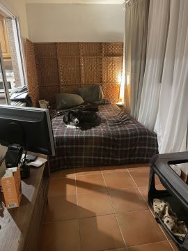 Hotel e Creche para Animais - Animais