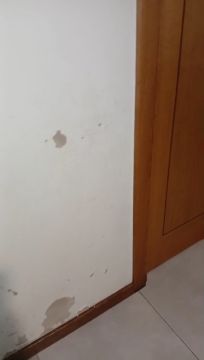 Pintor de Interiores - Casa