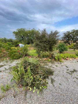 Serviço de Jardinagem