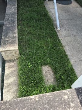 Jardinería