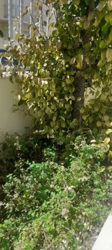 Gartenarbeit
