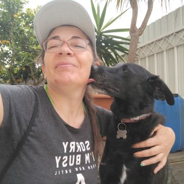 Telma Petsitting - Seixal - Pet Sitting