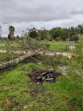Remodelações e Construção