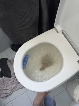 Fontanero
