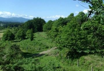 Serviço de Topografia