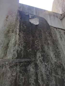 Pintura de Casas