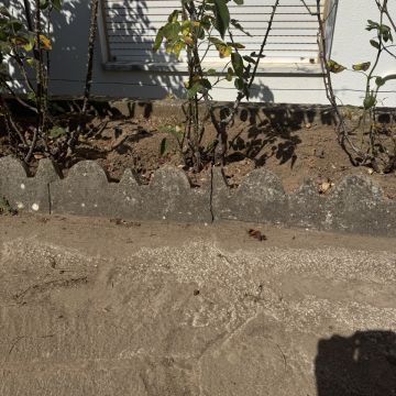 Reparação e Manutenção de Betão