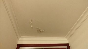 Interior Painter