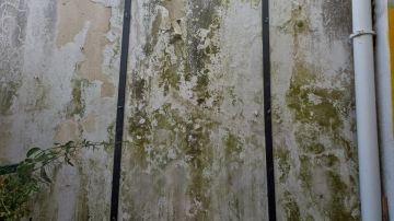 Pintura de Casas