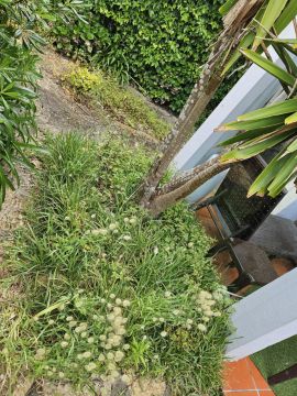 Gardening