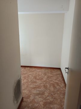 Pintura