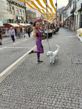 Hotel para Cães