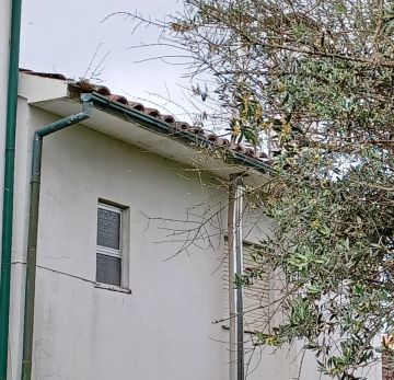 Roof Installation or Replacement