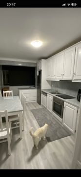 Cabinet Painting