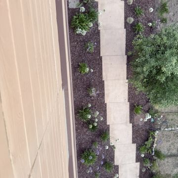 Serviço de Jardinagem