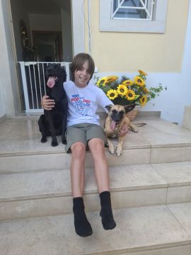 Hotel para Cães