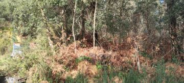 Land Surveyor - Home Improvements