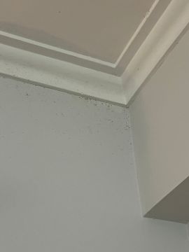 Insulation Service