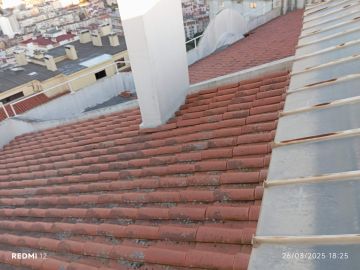 Roof Installation Professional