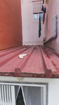 Técnico de Telhados e Coberturas