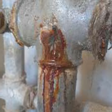 jorge rodrigues - Loures - Septic System Repair or Maintenance