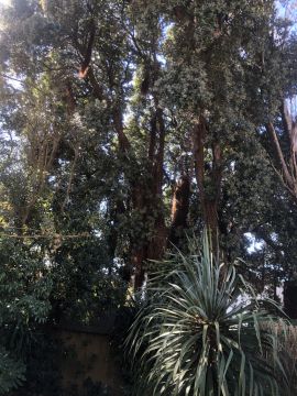 Jardinagem e Relvados