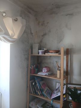 Pintura - Casa