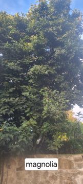 Jardinagem e Relvados