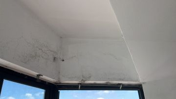 Pintor de Interiores