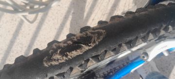 Oficina de Bicicletas