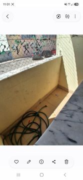 Arquitetura