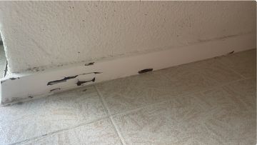Especialista em Colocação de Rodapés - Casa