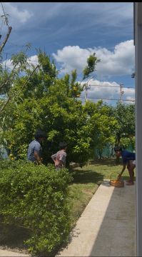 Serviço de Jardinagem