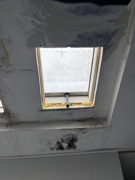 Spezialisten für Dachfenster - Haus