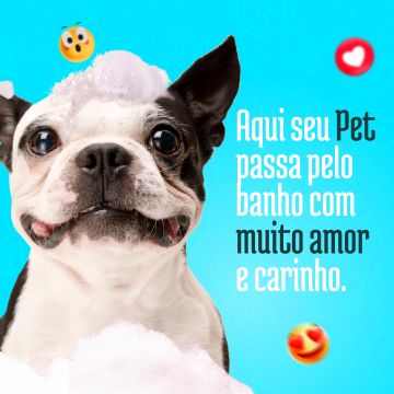 Jackson Nascimento - Yeahps Marketing - Lisboa - Webentwicklung