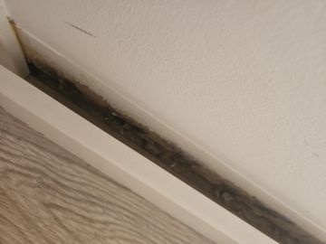 Especialista em Colocação de Rodapés