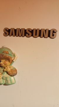 Refrigerator Repair or Maintenance