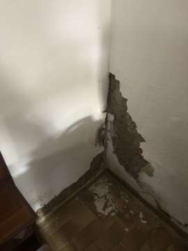 Plaster Specialist