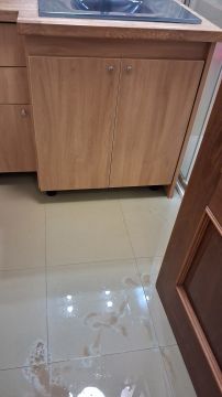 Especialista de Limpeza - Serviços Domésticos