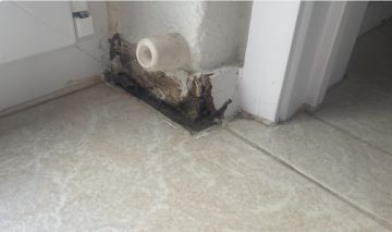 Especialista em Colocação de Rodapés