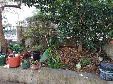Serviço de Jardinagem
