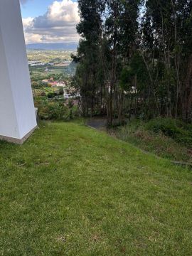 Serviço de Jardinagem - Casa