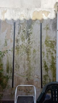 Pintor de Casas - Casa